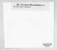 Image Associated With the Occurrence